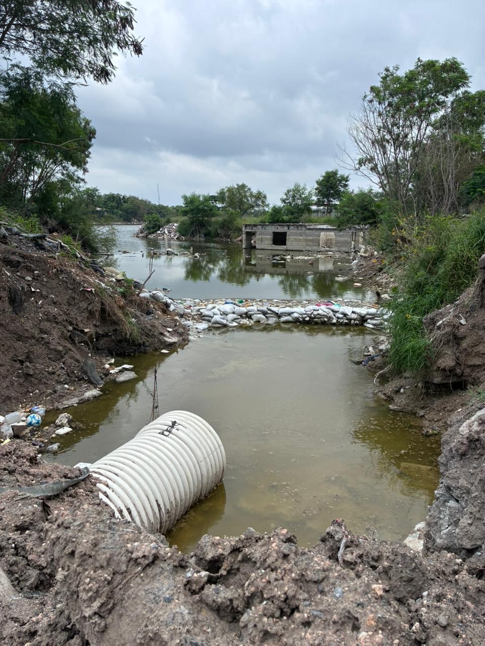 Imagen de la obra